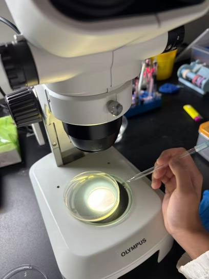 Research at the Center for Molecular Cell Science, Chinese Academy of Sciences